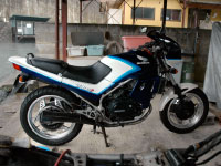 Main VF Blue